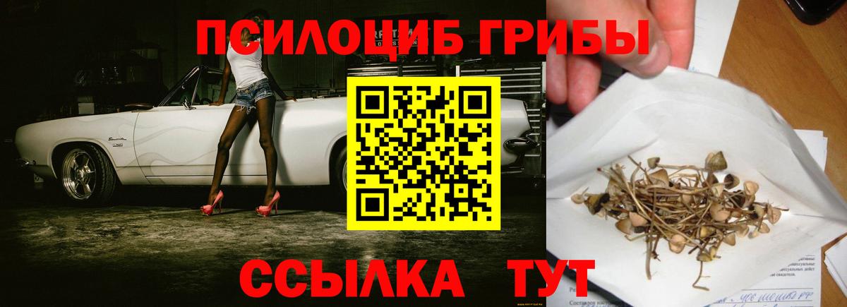 Жуковский  продажа наркотиков  Вход с VPN  Галлюциногенные грибы мухоморы 