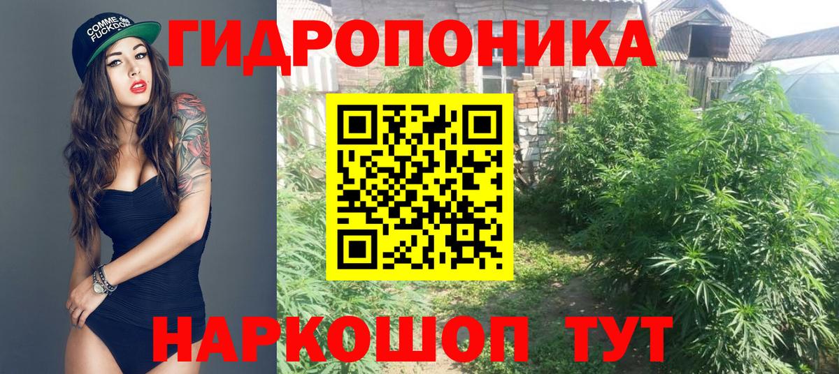 Марихуана индика  Вход с VPN  Жуковский  Марихуана Ganja  Канабис AK-47 